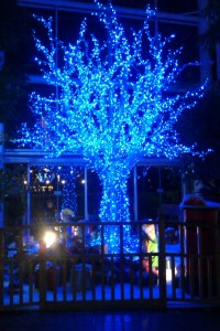 Sparkly tree!!